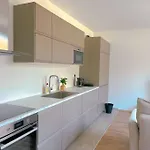 Spacious With Balcony And Garage Apartment