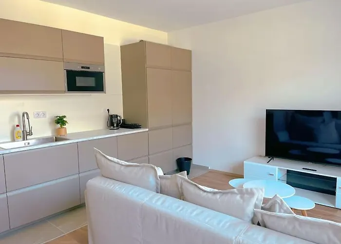 Appartement Spacious With Balcony And Garage